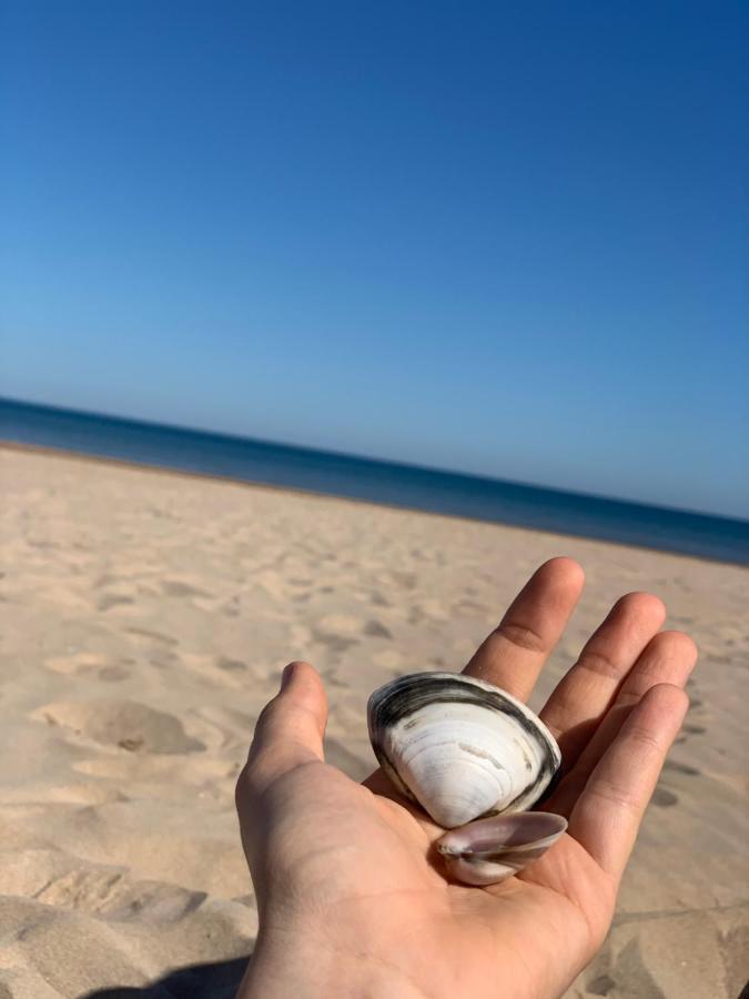 Apartamento Bella Playa Gandía Dış mekan fotoğraf